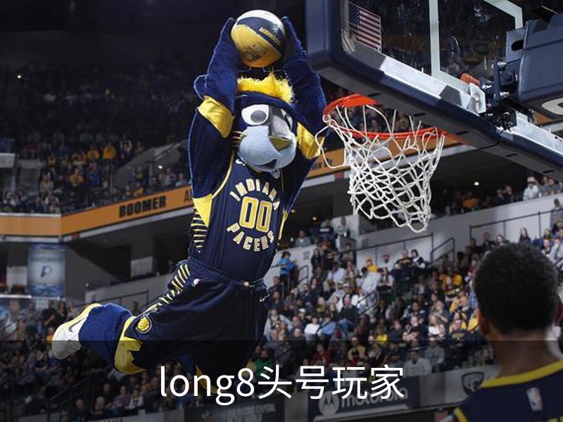 long8头号玩家概况